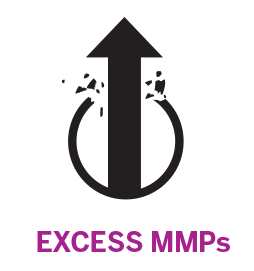 EXCESS MMPs